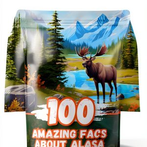 American History for Kids: A Fun and Interactive Guide-0
