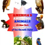 Americas Awesome Animals: A Fun Learning Adventure for Kids-0
