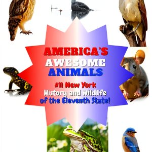 Americas Awesome Animals: A Fun Learning Adventure for Kids-0