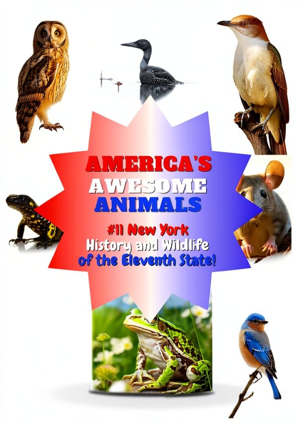 Americas Awesome Animals: A Fun Learning Adventure for Kids-0