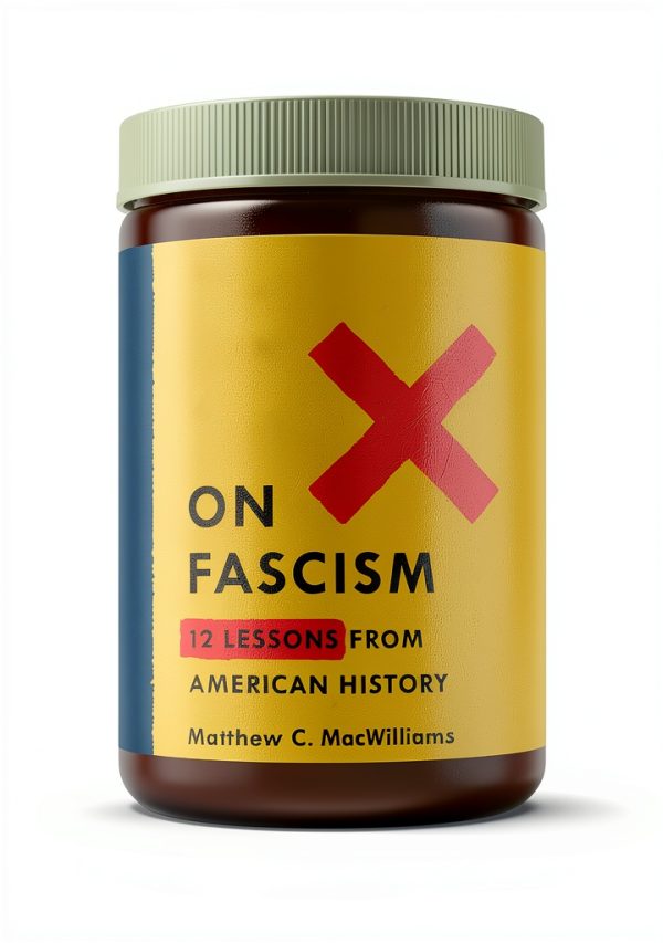St. Martin's Press Violence in Society Kindle eBook 2020 Edition-0