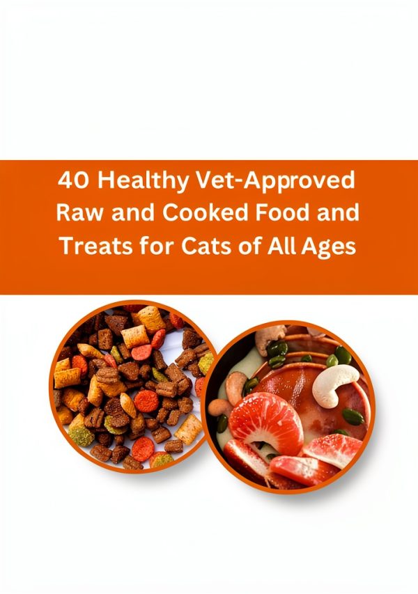 Homemade Pet Nutrition Made Easy Cat Care Kindle Print Replica-0