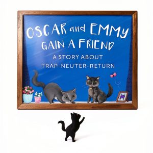 Cat Care Book for Kids - Oscar & Emmy Burning Midnight Publishing-0