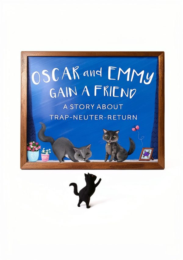 Cat Care Book for Kids - Oscar & Emmy Burning Midnight Publishing-0