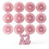 Dedeco Sunburst Radial Bristle Discs 12-Pack 3/4" Pink 600 Grit Pumice-1