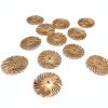 3M Radial Bristle Discs 3/4" White 120 Grit Pack of 12 Bristle Brush-0